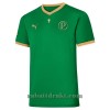 Palmeiras Copa Rio Hjemme 2021-22 70th Anniversary - Herre Fotballdrakt